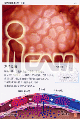 65:ガス交換