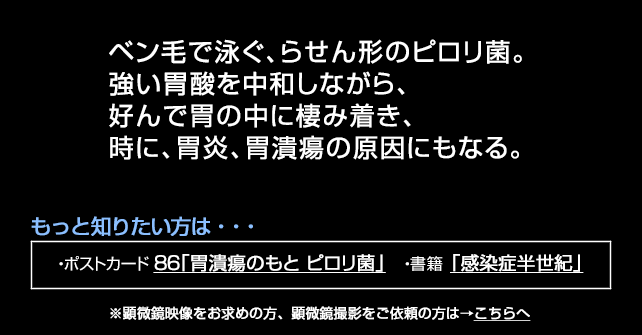 ピロリ菌