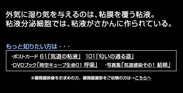 粘液を分泌する細胞