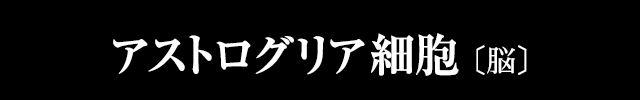 アストログリア細胞