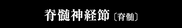 脊髄神経節