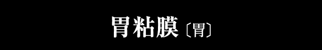 胃粘膜