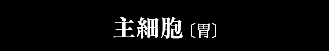 主細胞
