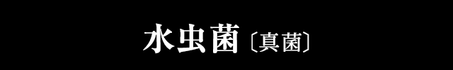 水虫菌