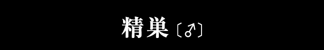 精巣