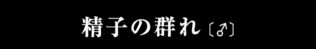 精子の群れ