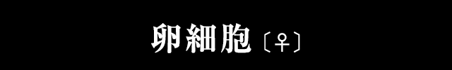 卵細胞