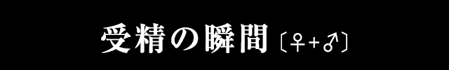 受精の瞬間