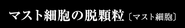 マスト細胞の脱顆粒