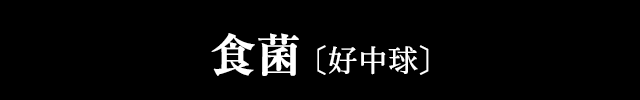 食菌