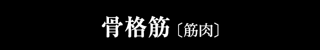 骨格筋