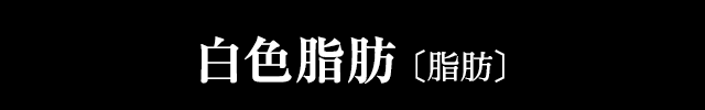 白色脂肪