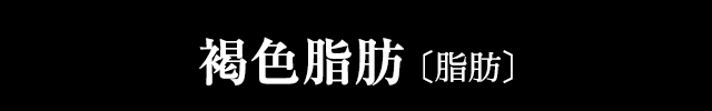 褐色脂肪