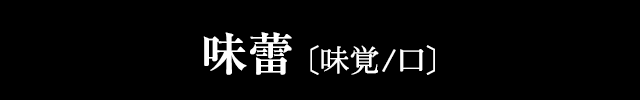 味蕾