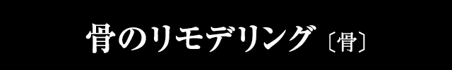 骨のリモデリング