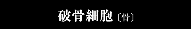 破骨細胞