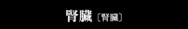 腎臓