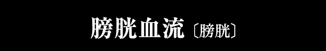 膀胱血流